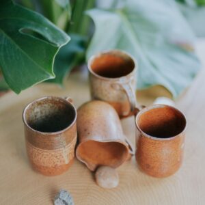 Wide Bowl Clay Planter