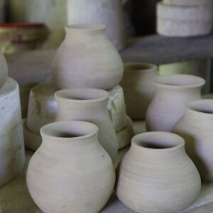 Indoor Succulent Clay Pot